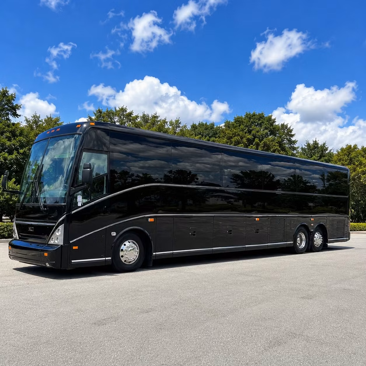 charter bus rentals for toledo zoo field trips